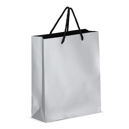 FSC Papier Geschenktasche 24 x 10 x 30cm 200g/m² Vrencht