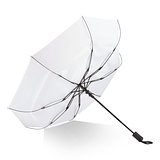 Daintree 190T Pongee 21.5" Faltbarer winddichter Regenschirm Auto open Corschte