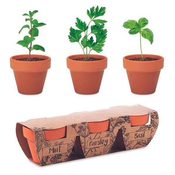 Terracotta-Set Kräuter Lieritli