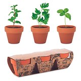 Terracotta-Set Kräuter Lieritli