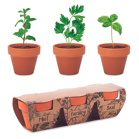 Terracotta-Set Kräuter Lieritli