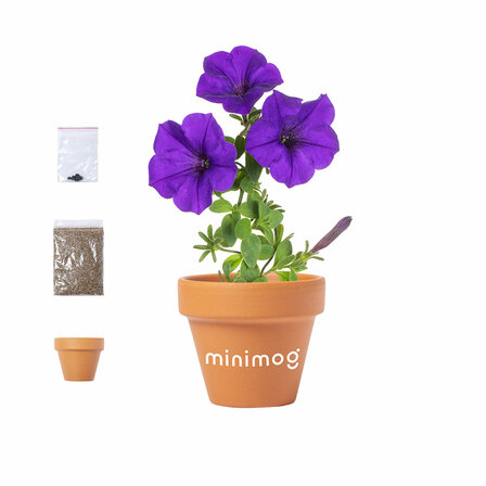 Blumentopf Idtax