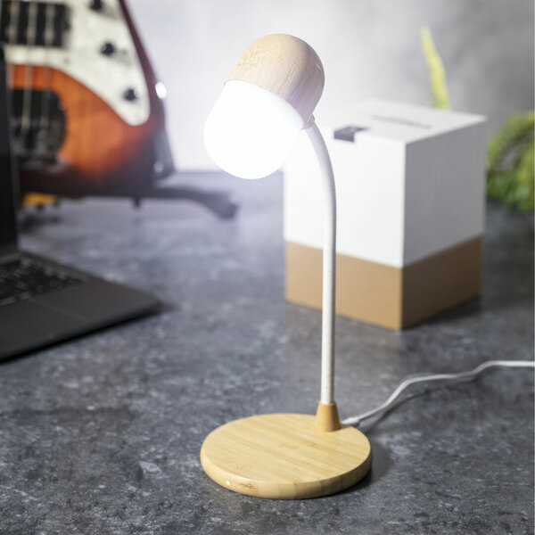 Multifunktion Lampe Idars