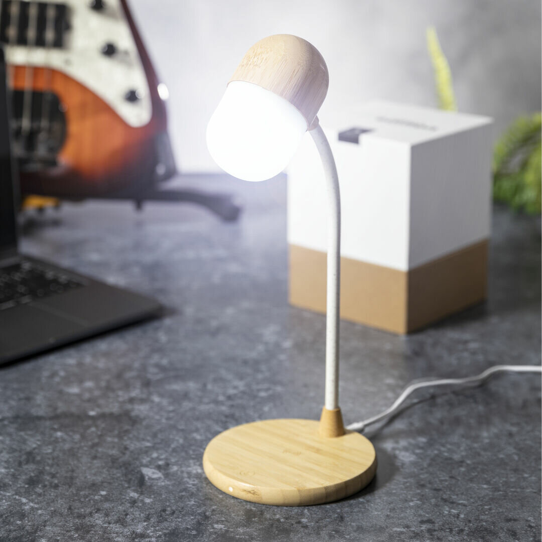 Multifunktion Lampe Idars