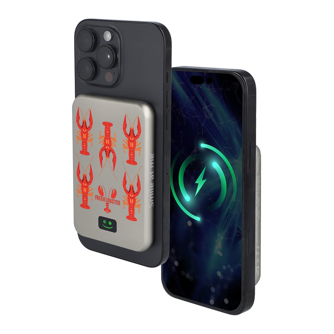 Smile Wireless Mirror Powerbank Kompatibel mit MagSafe 5000mAh Stgaunath