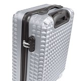 Trolley 18 inch Mast