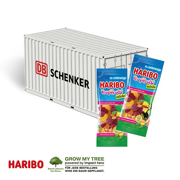 3D PRÄSENT „CONTAINER”