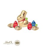 3D Präsent Transporter