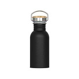 Wasserflasche Ashton 500ml Giuseht