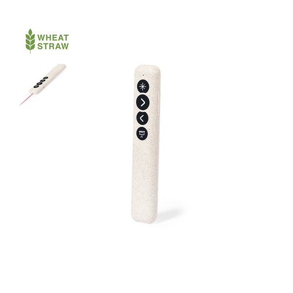 Präsentator Laser Pointer Idesi