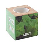 Kräuterpflanz-Set "Minze Vreilgi