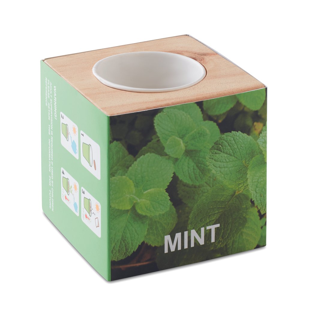 Kräuterpflanz-Set "Minze Vreilgi