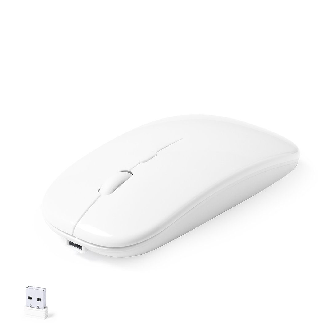 Maus IdRCS