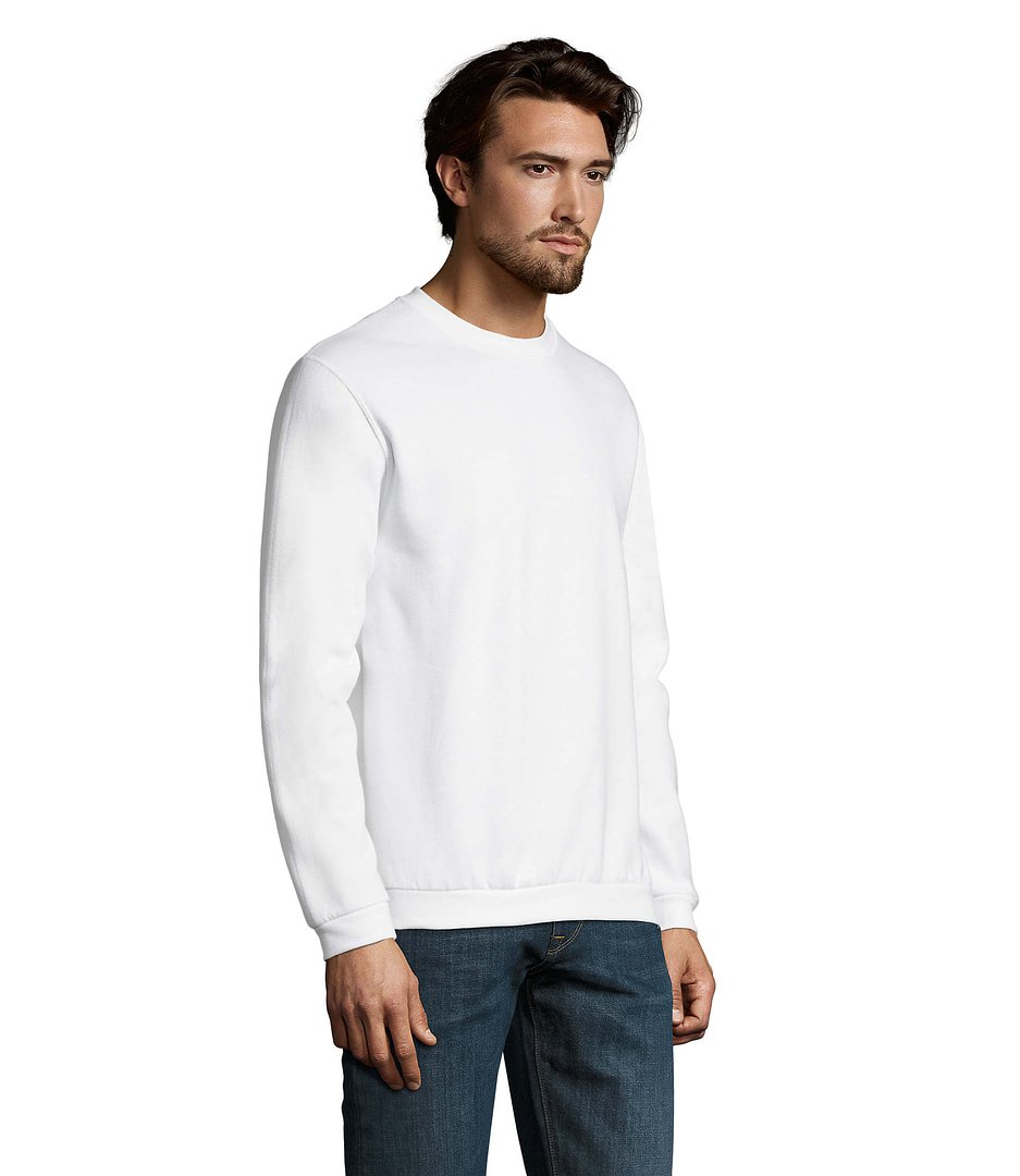Herren Sweater 260g Bendinati