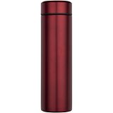 450 ml Doppelwand Isolierflasche aus Edelstahl mit Teesieb - Giannep