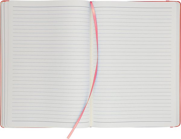 Notizbuch A4 Frileenat