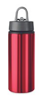 Aluminium Trinkflasche 600ml Andristie