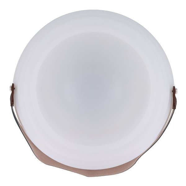 CoolLux Stimmungslicht und kabelloser Lautsprecher Orlini