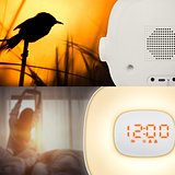 wake up light FM-Radio Friolly