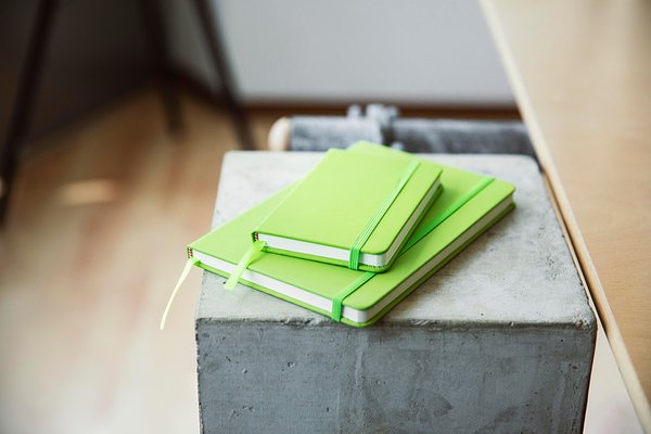 Notizbuch Elitlixca | Recyceltes PU | A5 | Liniert