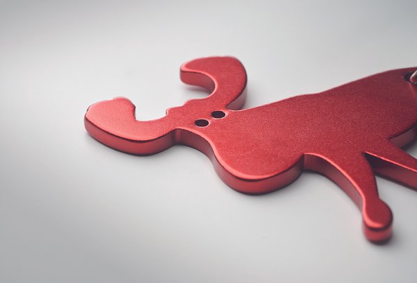 Schlüsselring Kapselheber Emeregn