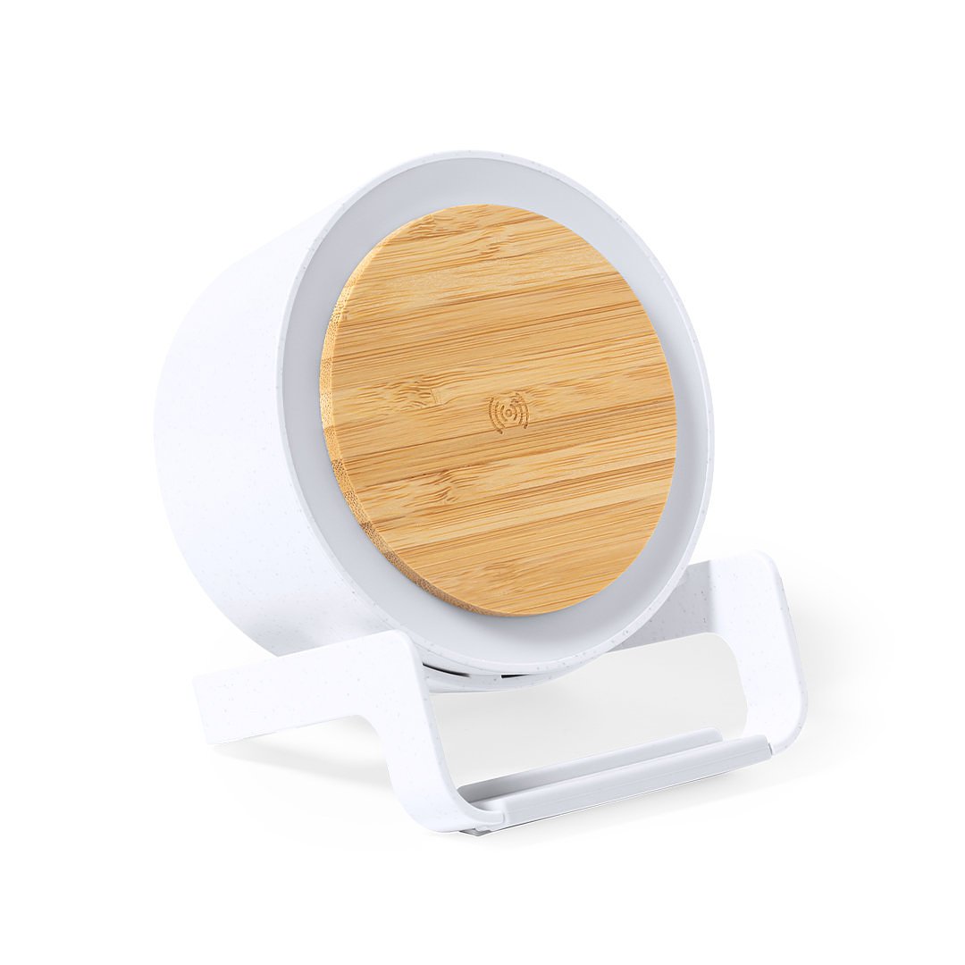 Multifunktion Lampe Iddow