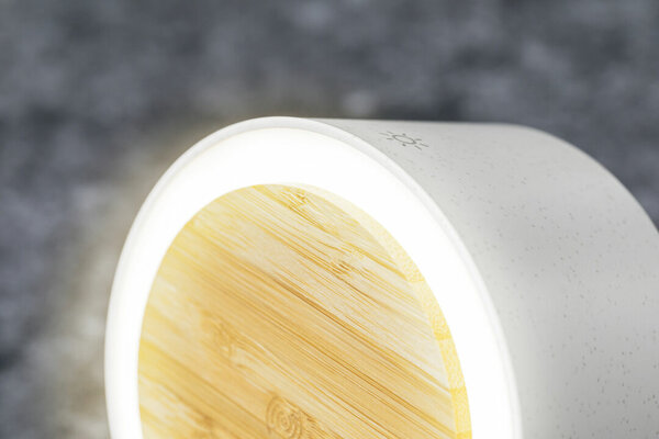 Multifunktion Lampe Iddow