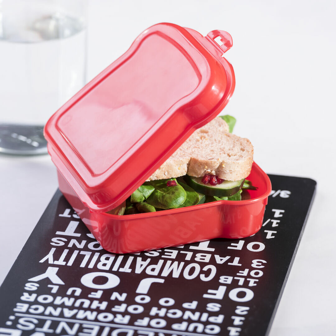 Sandwich Lunch Box Idoix