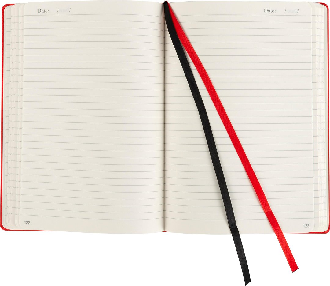 Notizbuch Bister | A5 | Liniert