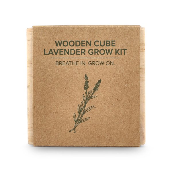 Holzpflanzgefäß-Set – Lavendel Ylandinel