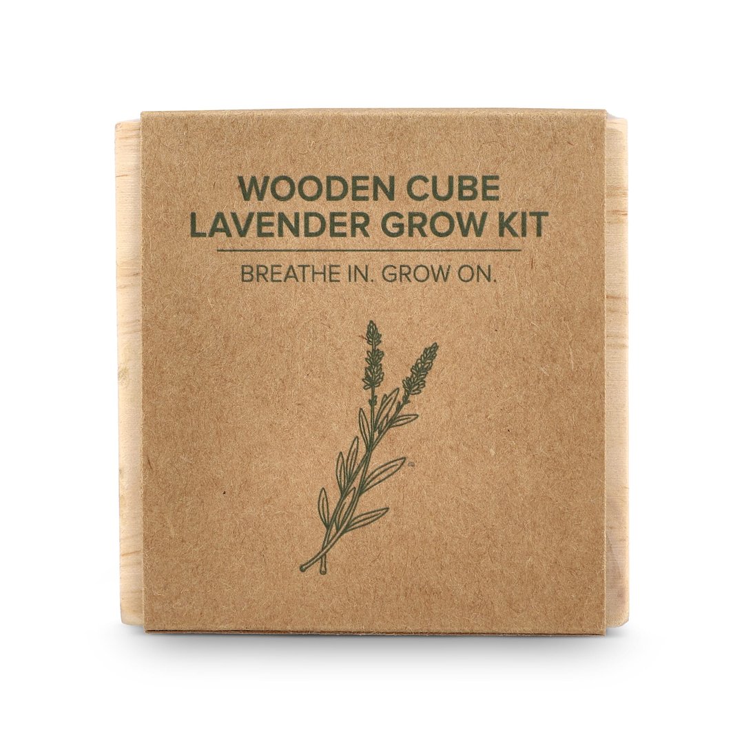 Holzpflanzgefäß-Set – Lavendel Ylandinel