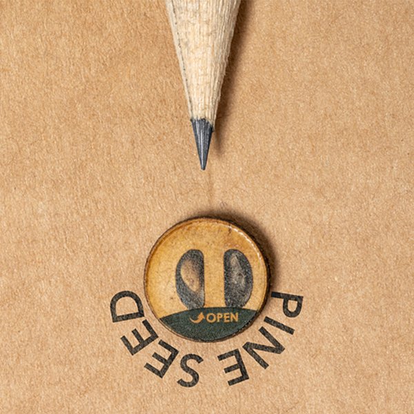 Samen Bleistift Idsio