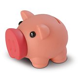 Kleines Sparschwein Hata