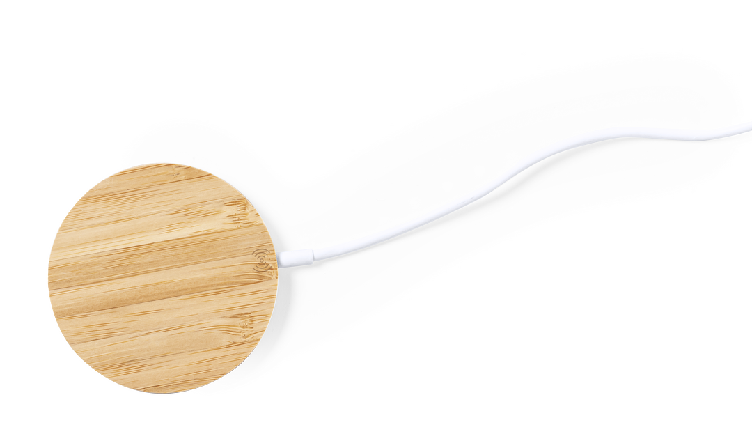 Halter Ladegerät Idopy