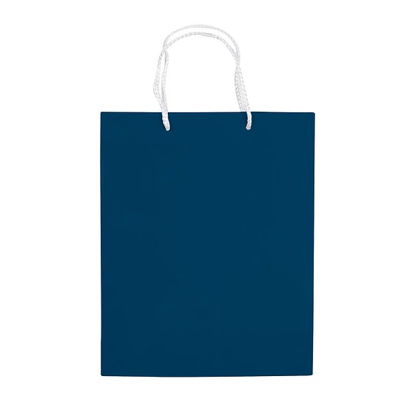 Laminierte Papiertasche, mittel Frilgix