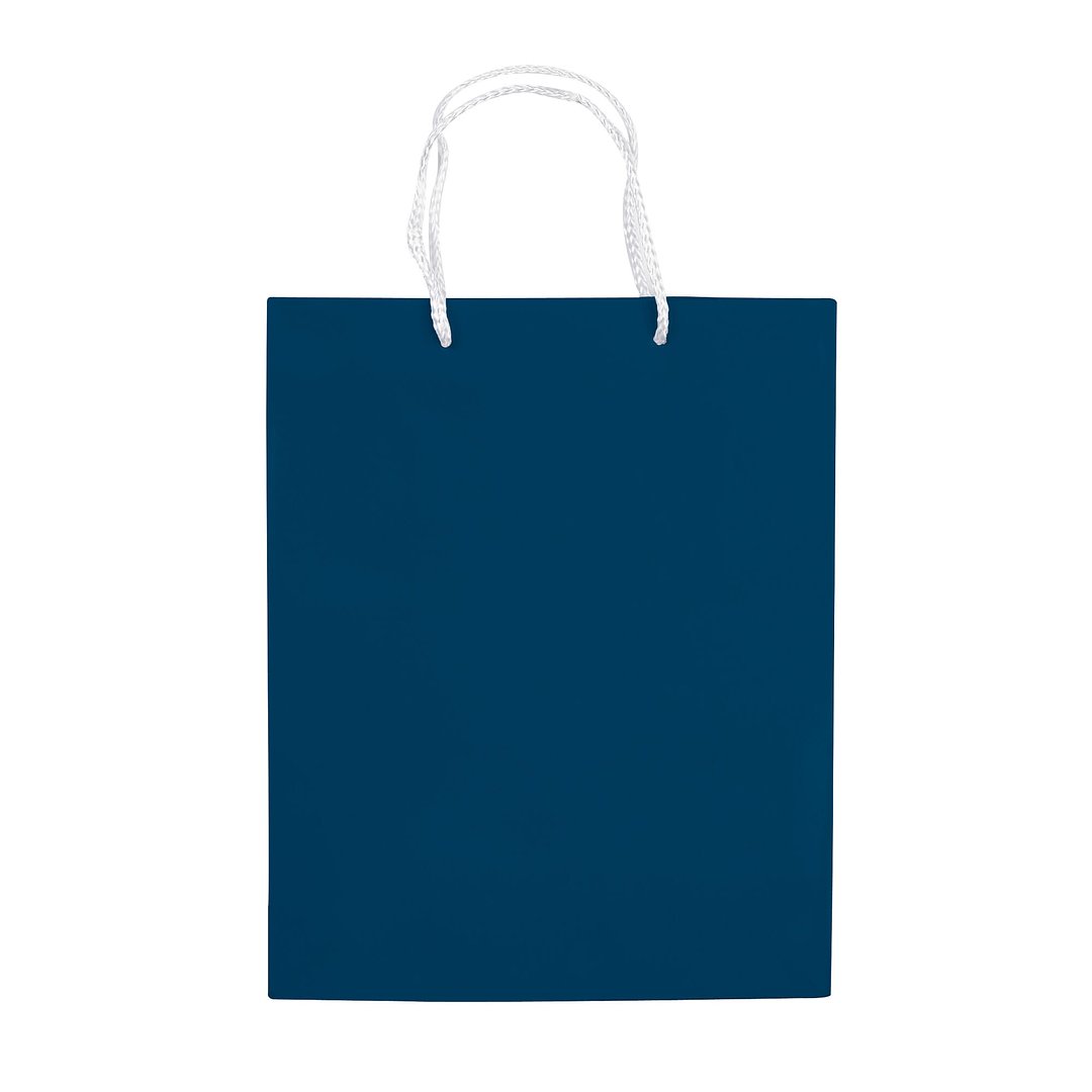 Laminierte Papiertasche, mittel Frilgix