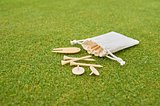 Golf Tees aus Holz Orsichast