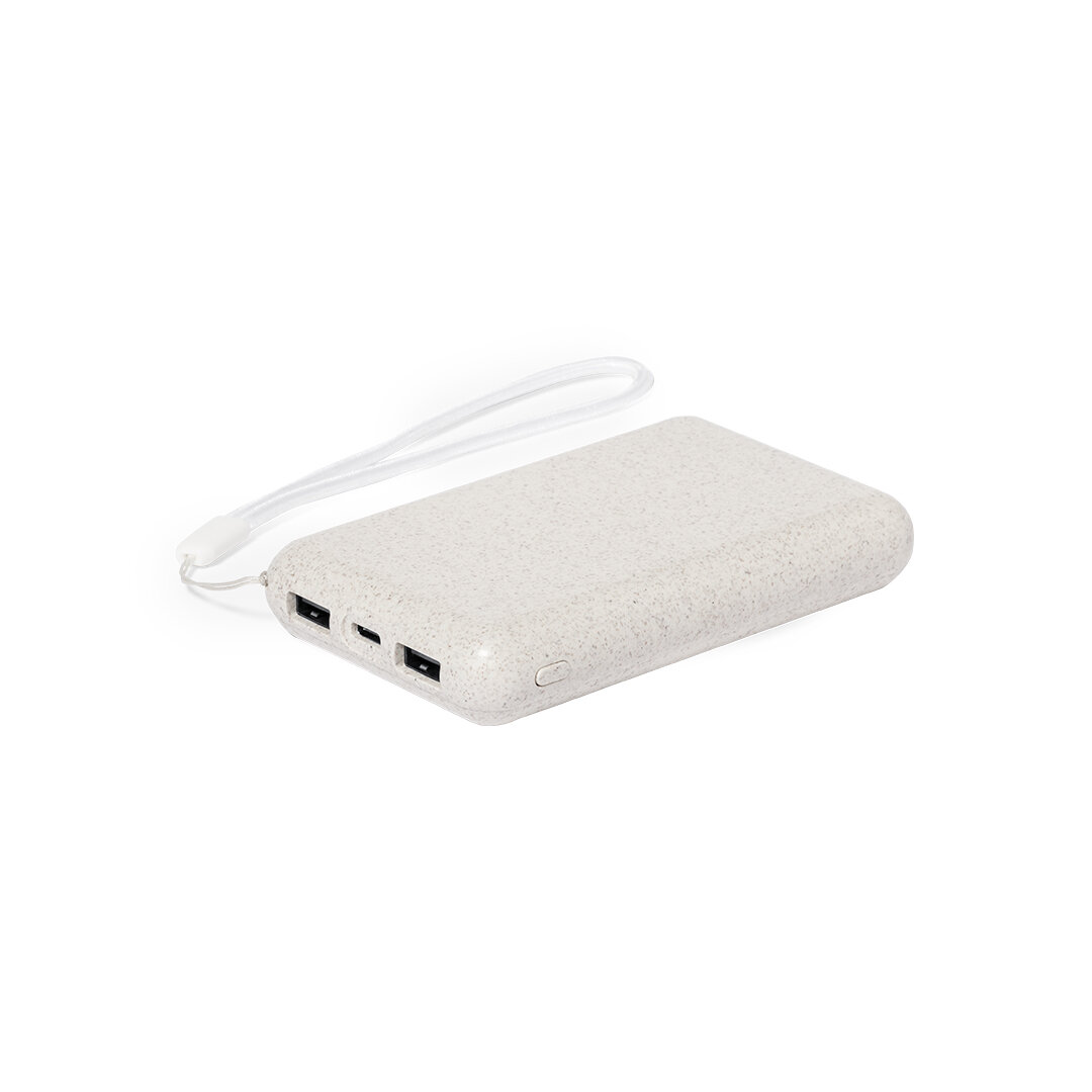 Power Bank Idson