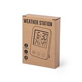 Wetterstation Idein