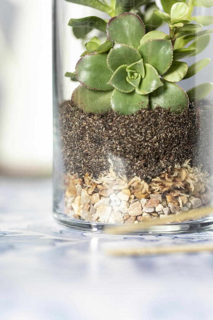 Terrarium Idmak