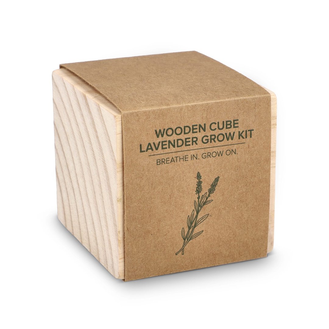 Holzpflanzgefäß-Set – Lavendel Ylandinel