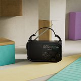 Philips TAR1609 Notfallradio mit analogem FM/AM-Tuner und Taschenlampe Elveri