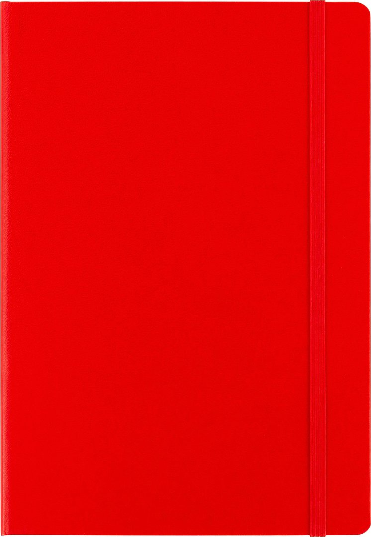 Notizbuch Bister | A5 | Liniert