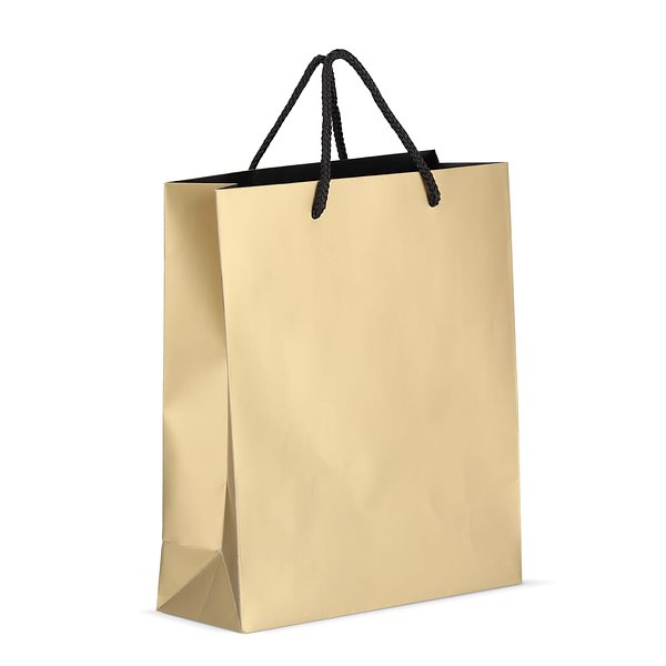 Papier Geschenktasche 24 x 10 x 30cm 200g/m² Vrencht