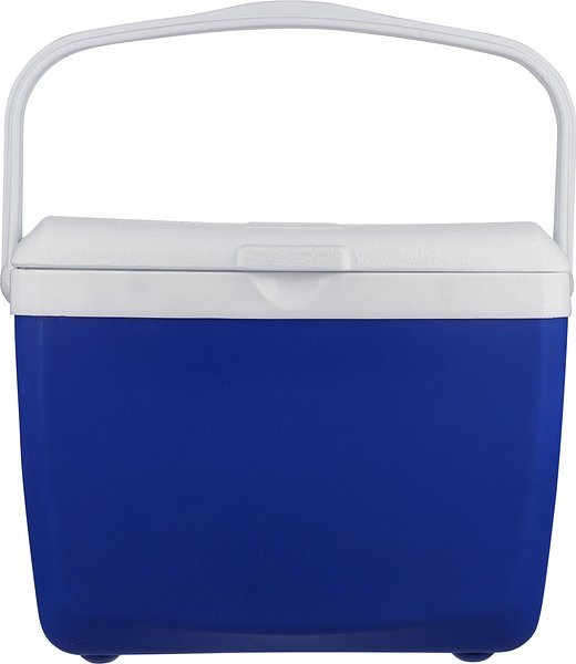Kühlbox 13 Liter Orinan