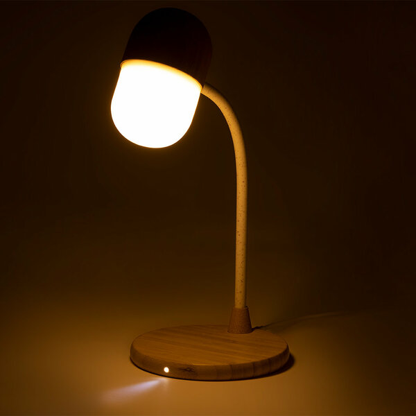 Multifunktion Lampe Idars