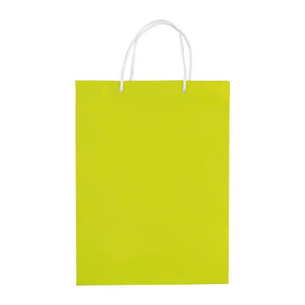 Laminierte Papiertasche, groß Utzio