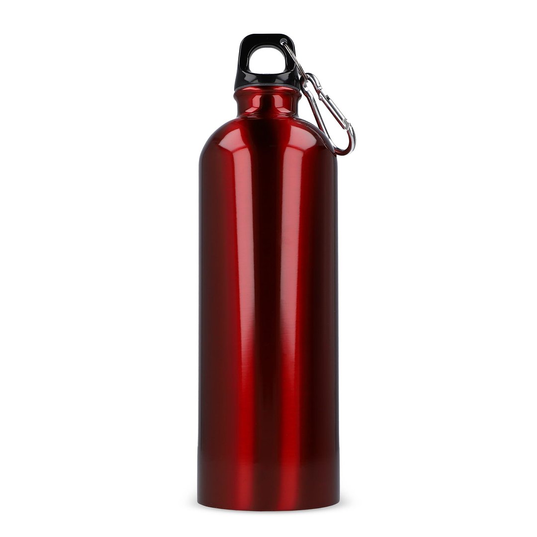 R-Edelstahl einwandige Flasche mit Karabiner 750ml Chatha