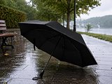 Regenschirm Uedicorst