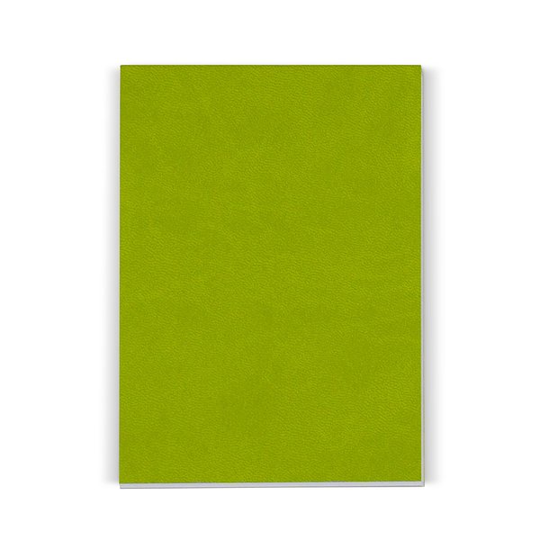 Notizbuch mit 150 Blatt Recyclingpapier Gilleeni